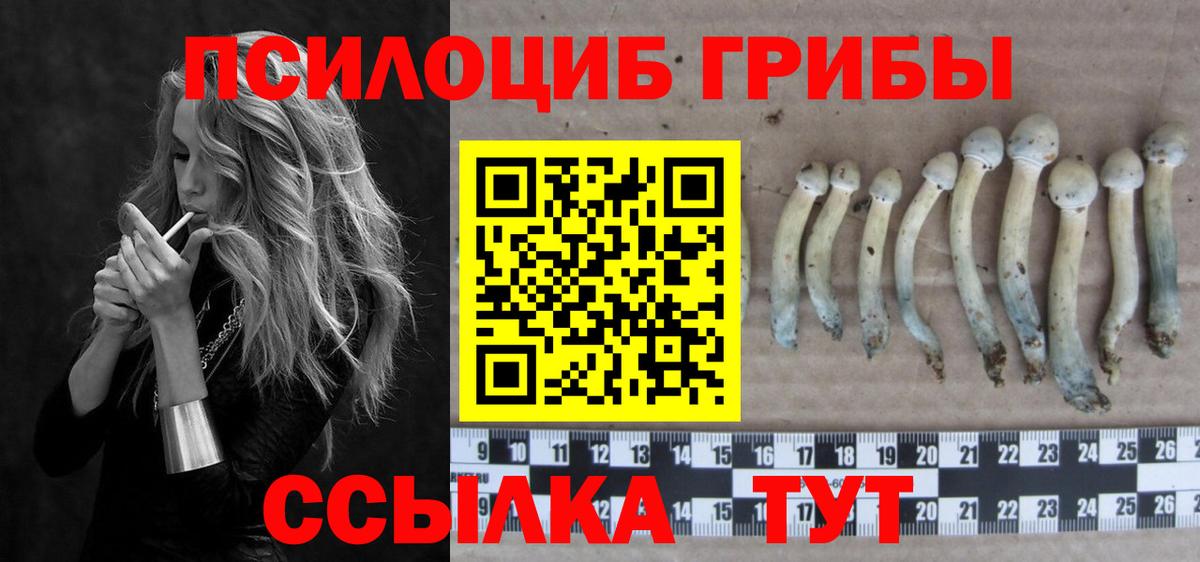 Псилоцибиновые грибы Magic Shrooms Вязники