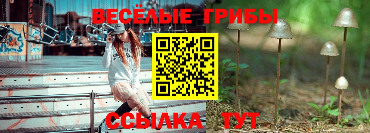 Вязники  Галлюциногенные грибы MAGIC MUSHROOMS  закладки  Вход с VPN  Псилоцибиновые грибы мухоморы 